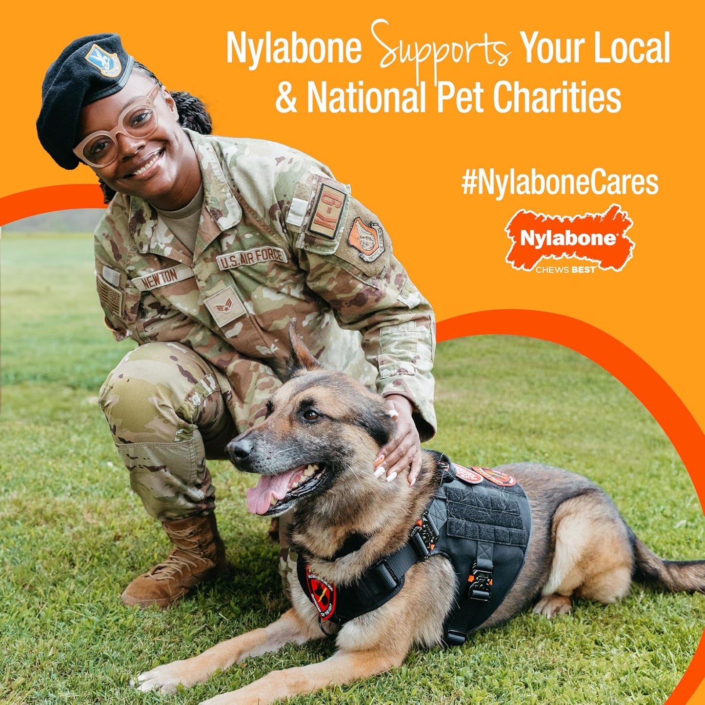 Nylabone Ergonomic Wishbone Power Chew Toy for Aggressive Chewers, BISON Flavor, Small (up to 25 lbs), 1 Count