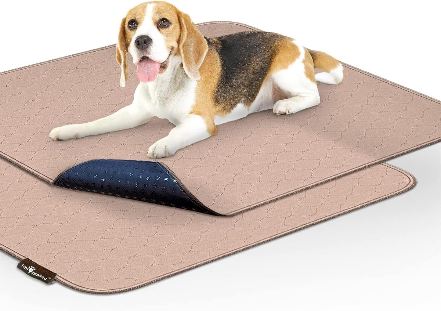 Paw Inspired Washable Pee Pads for Dogs (2 Pack) | Leakproof, Non-Slip Reusable Puppy Pads for Potty Training, Whelping, Waterproof Mat (41X41 Size, Pack of 2)