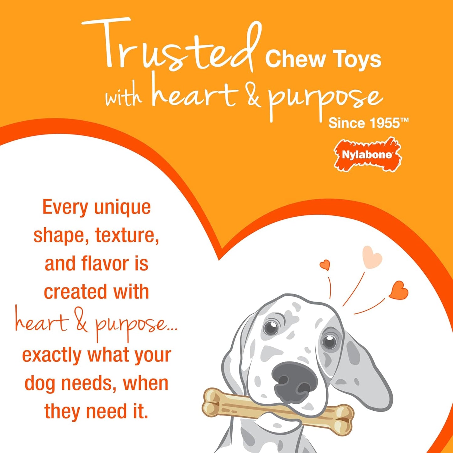 Nylabone Ergonomic Wishbone Power Chew Toy for Aggressive Chewers, BISON Flavor, Small (up to 25 lbs), 1 Count