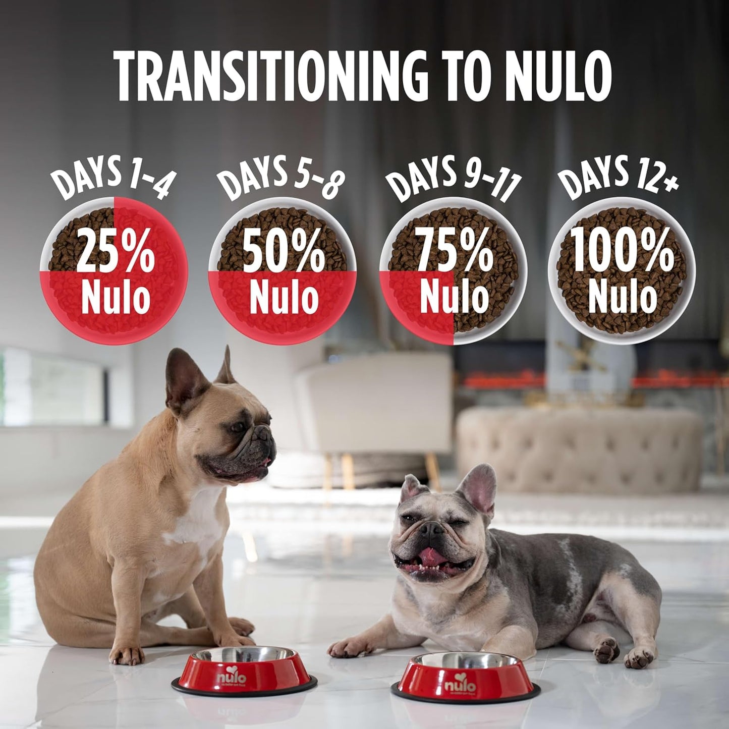 Nulo Freestyle Adult Dog Food, Premium All Natural Grain-Free Dry Small Kibble Dog Food, with BC30 Probiotic for Healthy Digestion, and High Animal-Based Protein with No Chicken or Egg Alternatives
