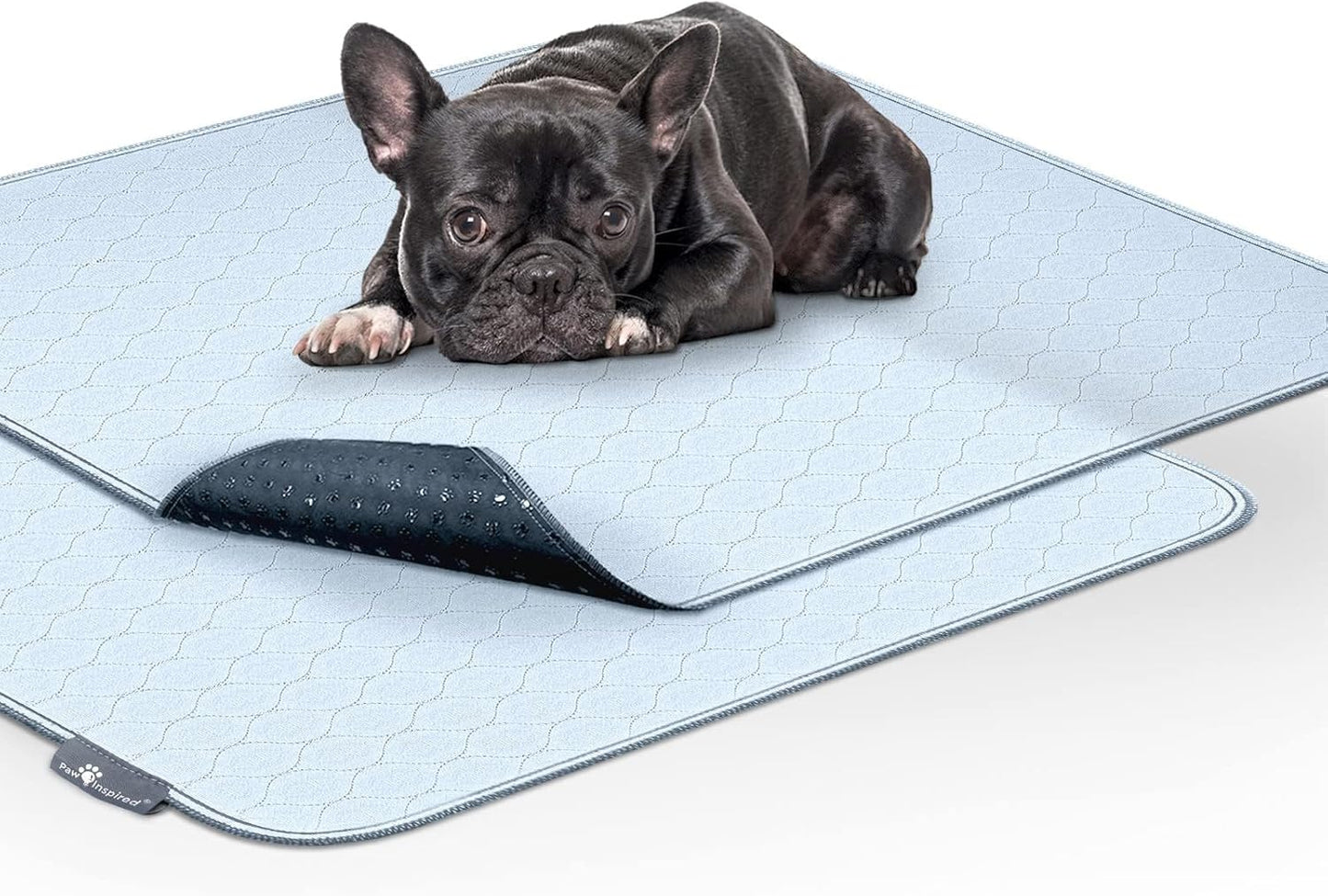 Paw Inspired Washable Pee Pads for Dogs (2 Pack) | Leakproof, Non-Slip Reusable Puppy Pads for Potty Training, Whelping, Waterproof Mat (41X41 Size, Pack of 2)