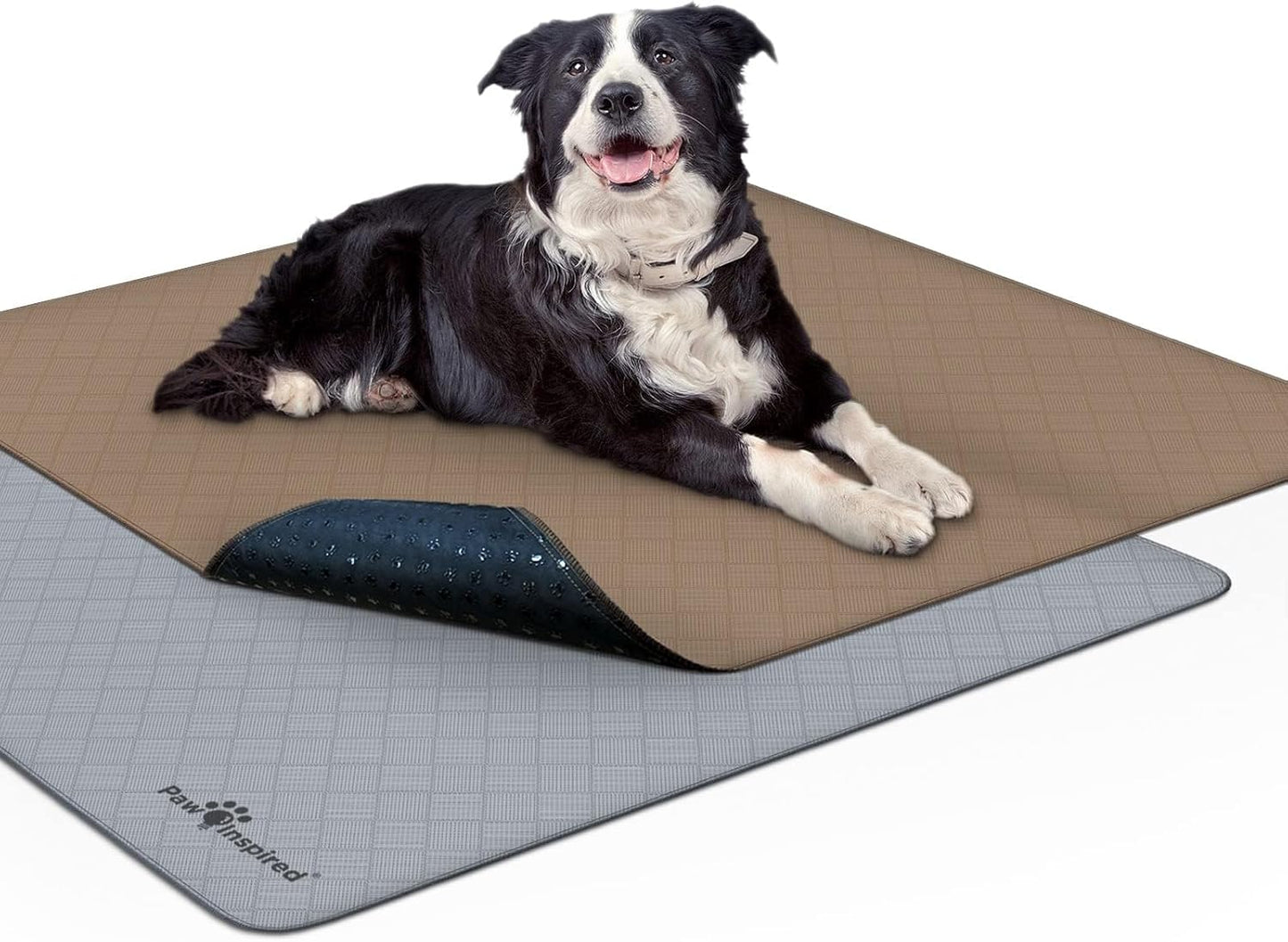 Paw Inspired Washable Pee Pads for Dogs (2 Pack) | Leakproof, Non-Slip Reusable Puppy Pads for Potty Training, Whelping, Waterproof Mat (41X41 Size, Pack of 2)