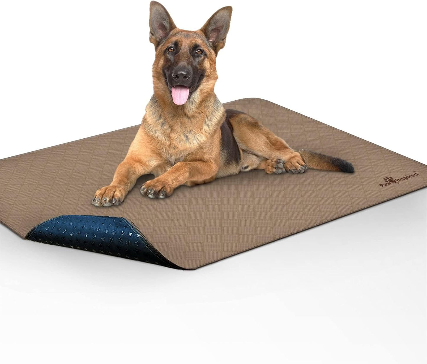 Paw Inspired Washable Pee Pads for Dogs (2 Pack) | Leakproof, Non-Slip Reusable Puppy Pads for Potty Training, Whelping, Waterproof Mat (41X41 Size, Pack of 2)