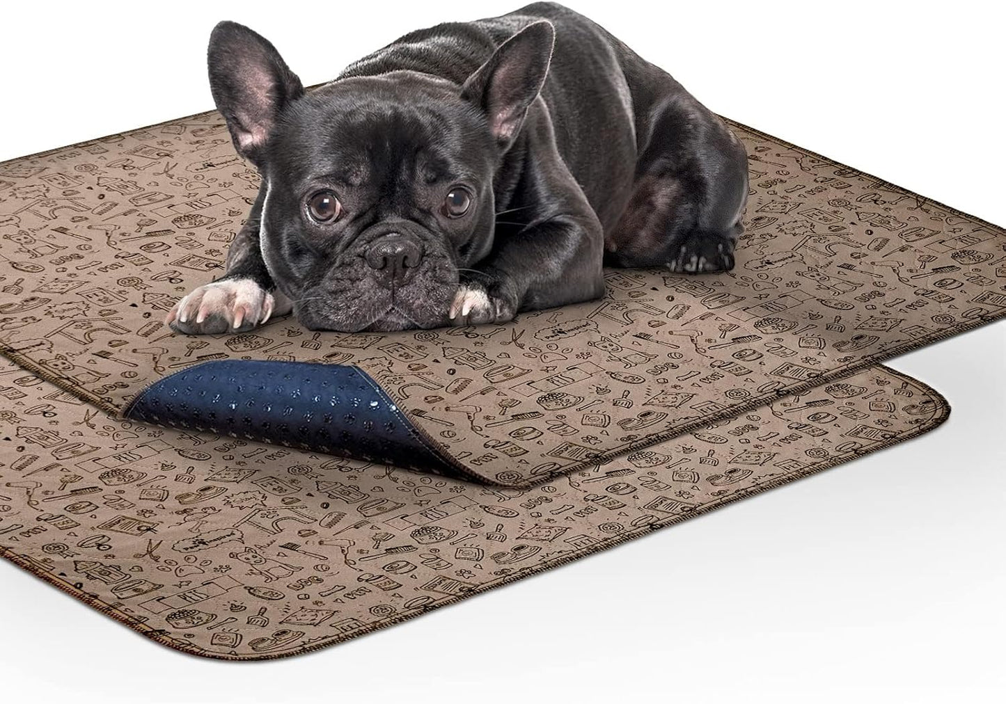 Paw Inspired Washable Pee Pads for Dogs (2 Pack) | Leakproof, Non-Slip Reusable Puppy Pads for Potty Training, Whelping, Waterproof Mat (41X41 Size, Pack of 2)