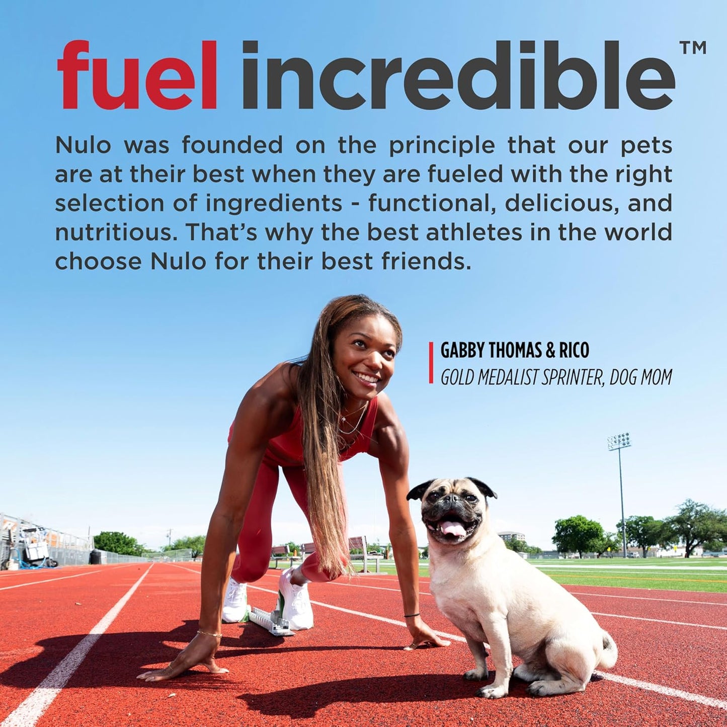 Nulo Freestyle Adult Dog Food, Premium All Natural Grain-Free Dry Small Kibble Dog Food, with BC30 Probiotic for Healthy Digestion, and High Animal-Based Protein with No Chicken or Egg Alternatives