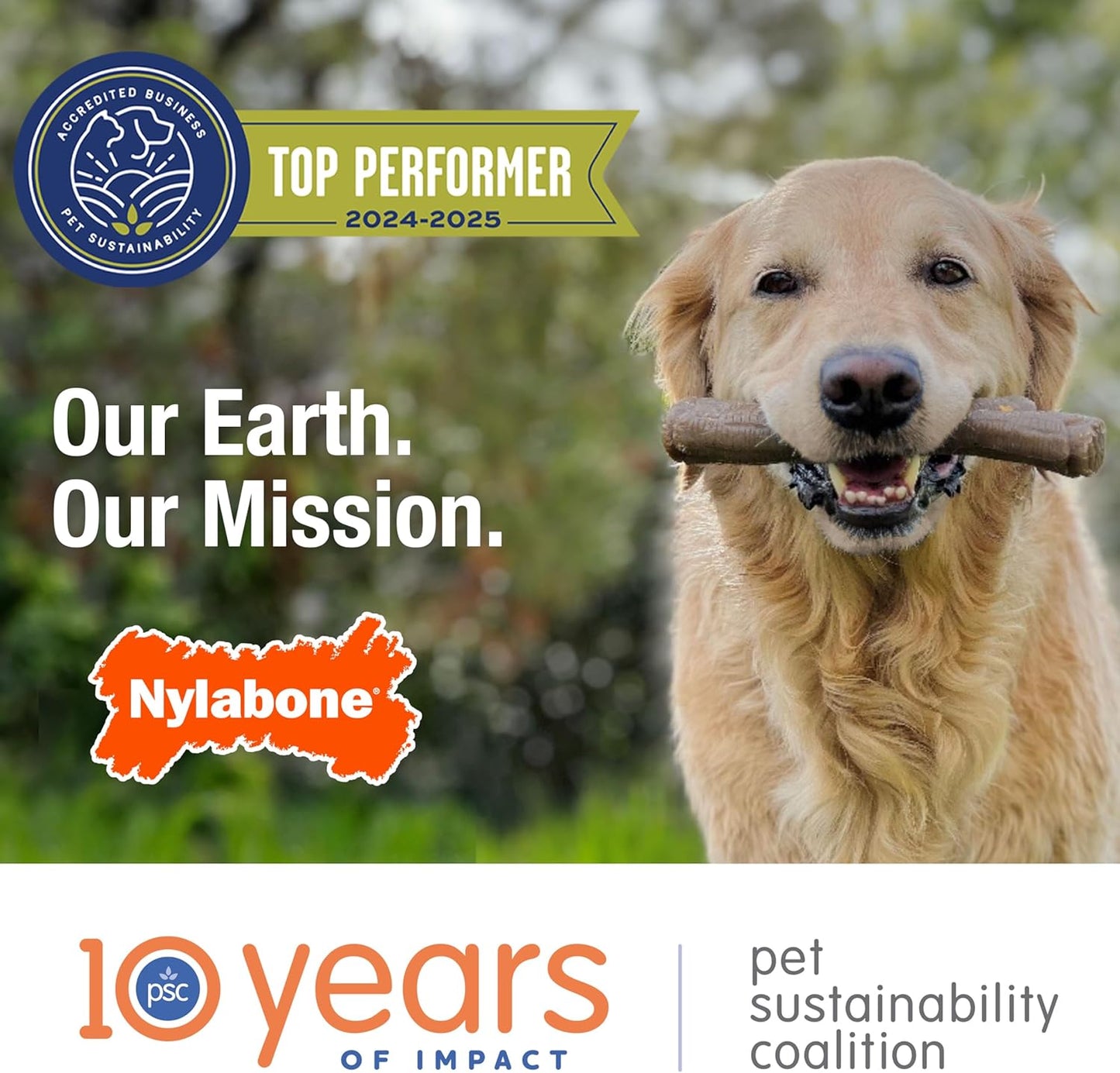 Nylabone Ergonomic Wishbone Power Chew Toy for Aggressive Chewers, BISON Flavor, Small (up to 25 lbs), 1 Count