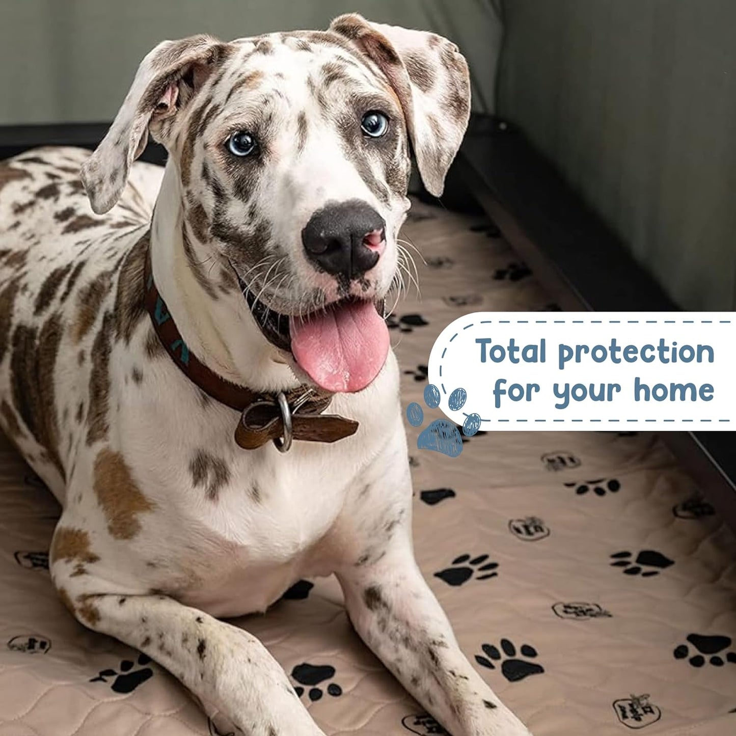 Ezwhelp Reusable Dog Pee Pads, Washable Waterproof Mats for Potty Training or Whelping Pads, Puppy Pad with Rounded Corners, 16.5X19.5 Inch, 2 Pack