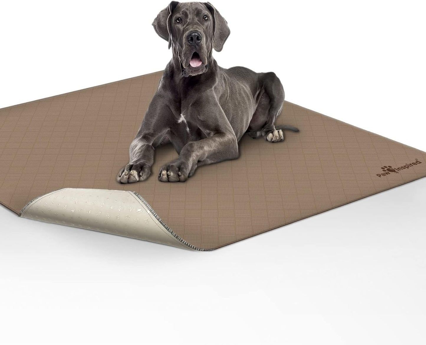 Paw Inspired Washable Pee Pads for Dogs (2 Pack) | Leakproof, Non-Slip Reusable Puppy Pads for Potty Training, Whelping, Waterproof Mat (41X41 Size, Pack of 2)