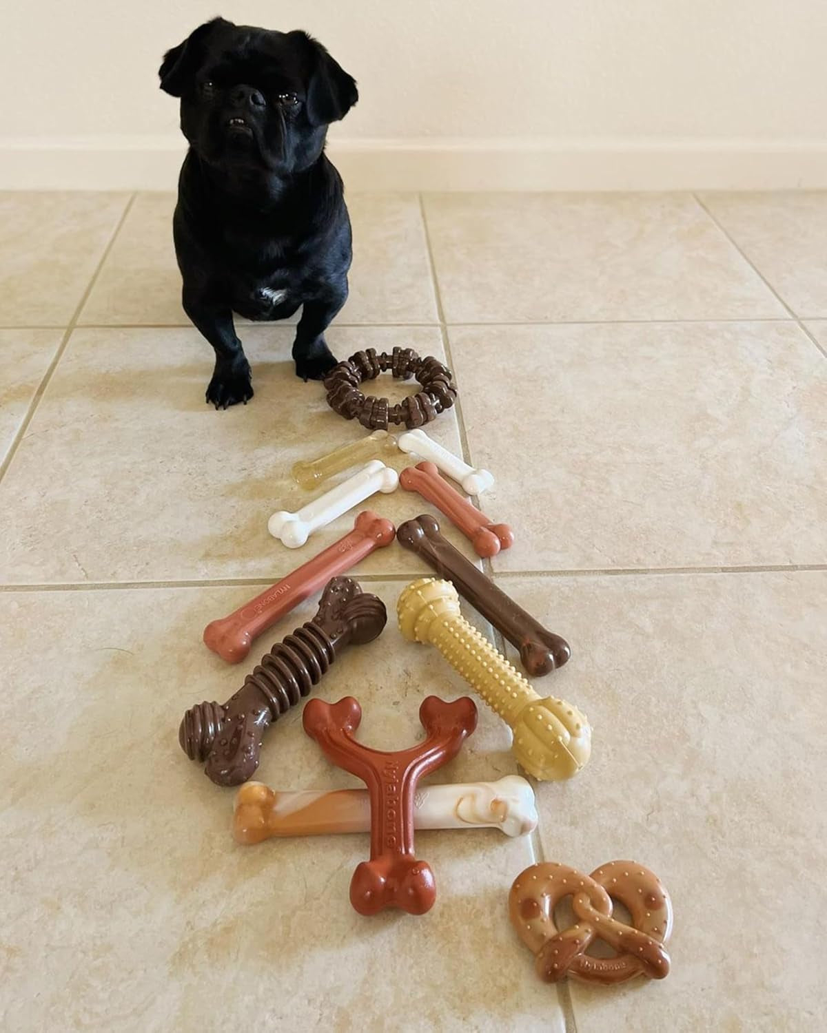 Nylabone Ergonomic Wishbone Power Chew Toy for Aggressive Chewers, BISON Flavor, Small (up to 25 lbs), 1 Count