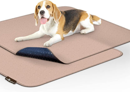 Paw Inspired Washable Pee Pads for Dogs (2 Pack) | Leakproof, Non-Slip Reusable Puppy Pads for Potty Training, Whelping, Waterproof Mat (41X41 Size, Pack of 2)