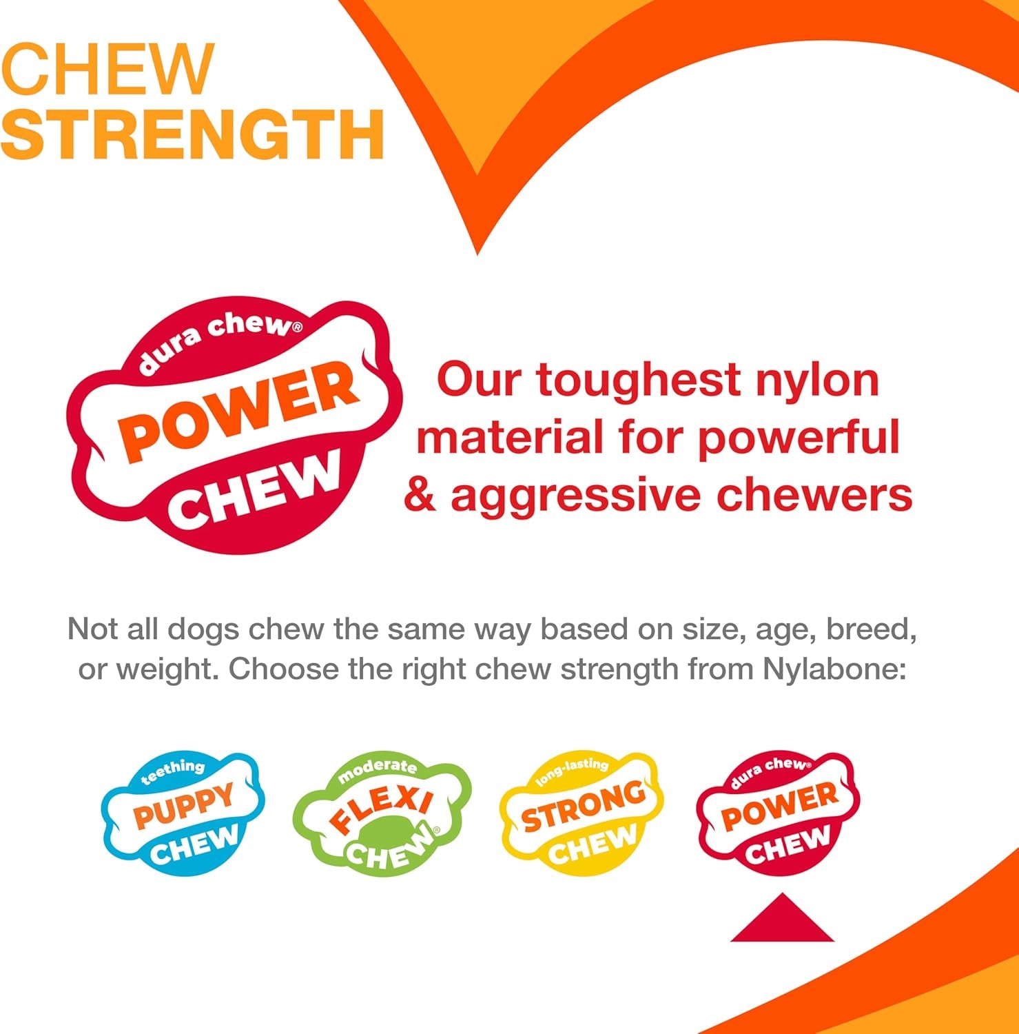 Nylabone Ergonomic Wishbone Power Chew Toy for Aggressive Chewers, BISON Flavor, Small (up to 25 lbs), 1 Count