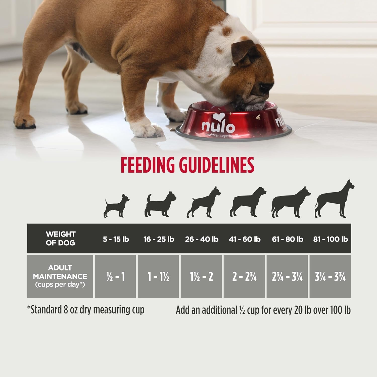 Nulo Freestyle Adult Dog Food, Premium All Natural Grain-Free Dry Small Kibble Dog Food, with BC30 Probiotic for Healthy Digestion, and High Animal-Based Protein with No Chicken or Egg Alternatives