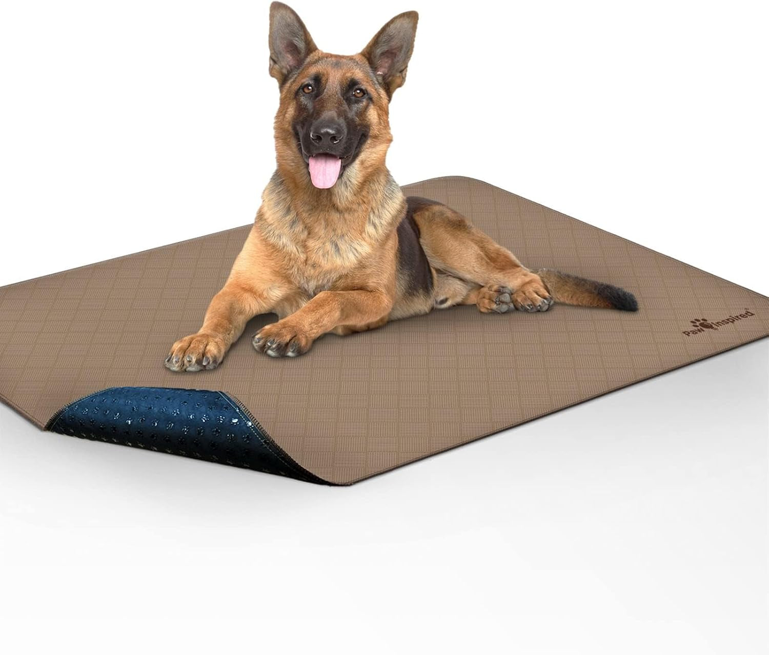 Paw Inspired Washable Pee Pads for Dogs (2 Pack) | Leakproof, Non-Slip Reusable Puppy Pads for Potty Training, Whelping, Waterproof Mat (41X41 Size, Pack of 2)