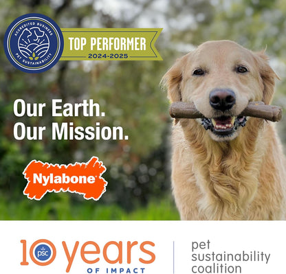 Nylabone Ergonomic Wishbone Power Chew Toy for Aggressive Chewers, BISON Flavor, Small (up to 25 lbs), 1 Count